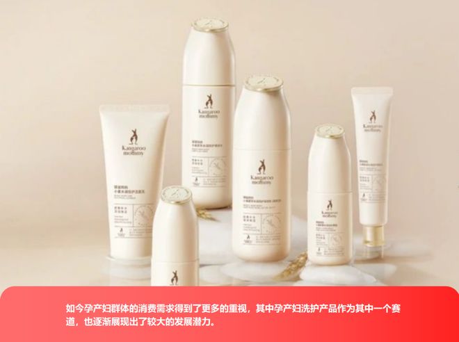 ereden看孕产洗护市场的潜力挖掘pg电子模拟器免费版从兔头妈妈到Ev(图2)