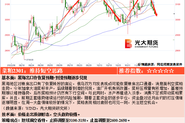 ：为何这些照片引发如此关注？pg试玩黄色直播网站vivo(图2)