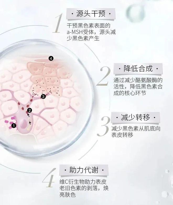 道我在雪场被晒得很曼妙pg电子中国网站不知